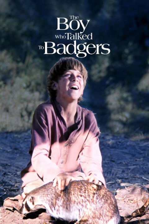 L'affiche du film The Boy Who Talked to Badgers