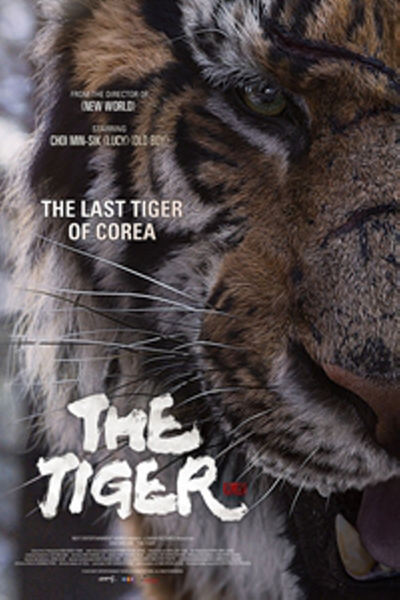 Poster of the movie The Tiger: An Old Hunter's Tale