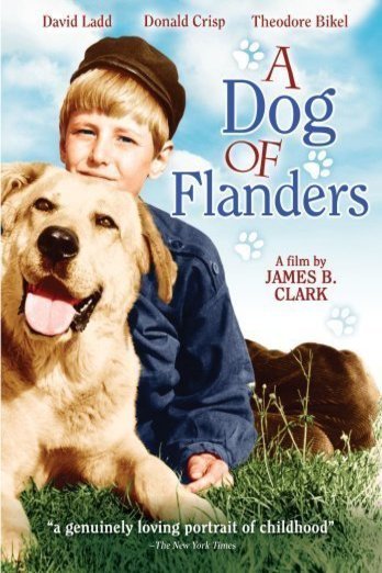L'affiche du film A Dog of Flanders