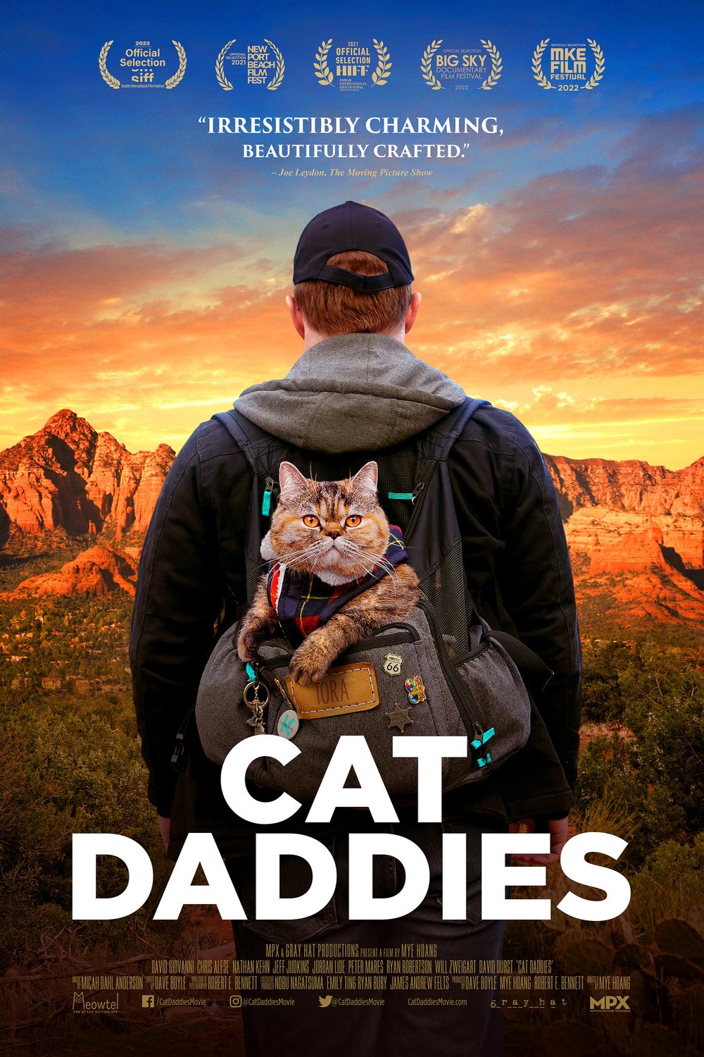 L'affiche du film Cat Daddies