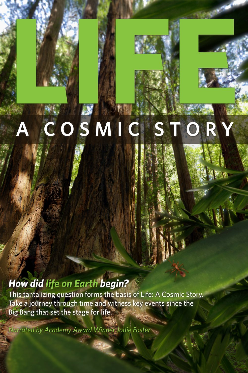 L'affiche du film Life: A Cosmic Story