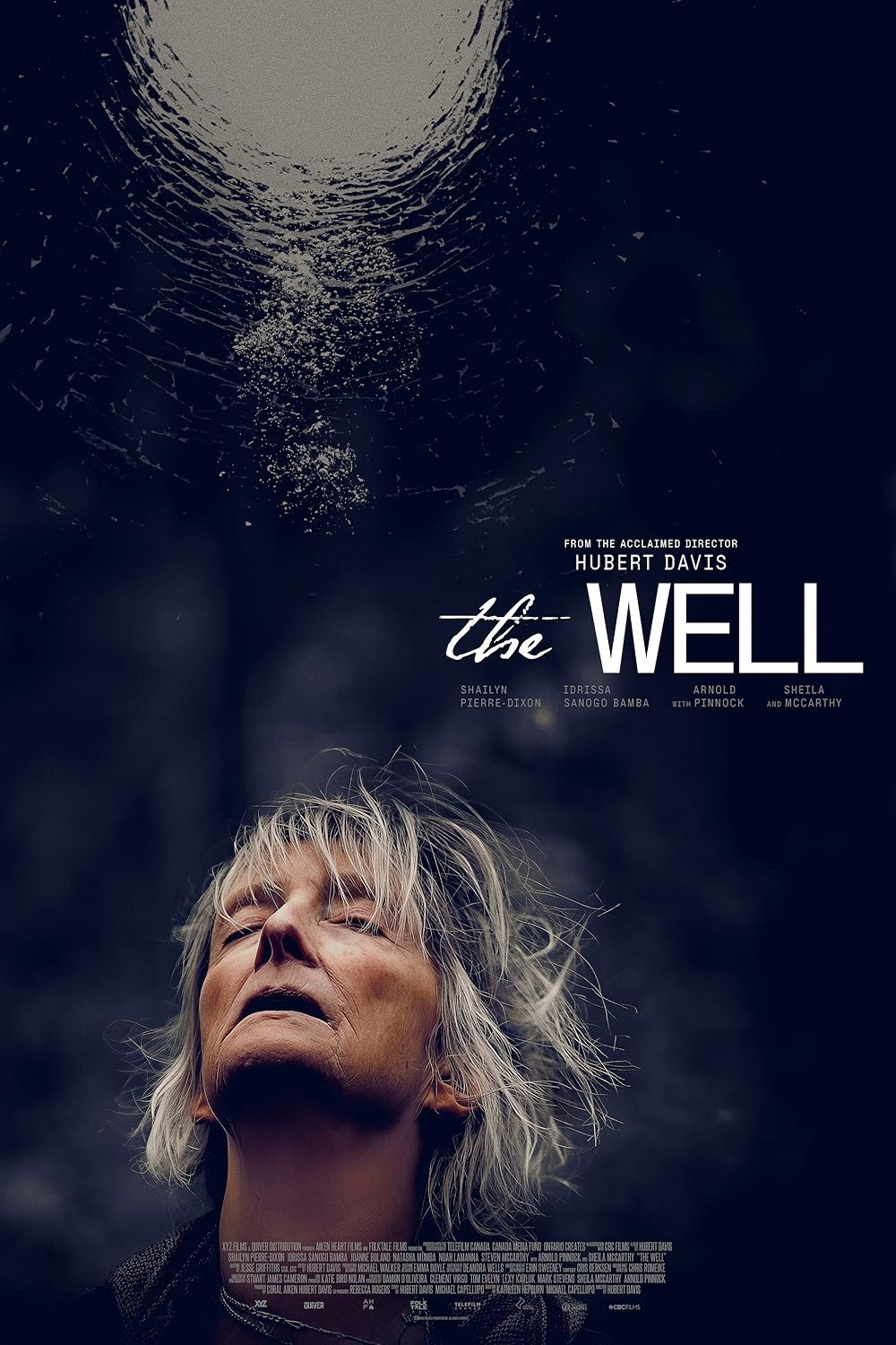 L'affiche du film The Well