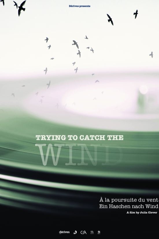 L'affiche du film Trying to catch the wind