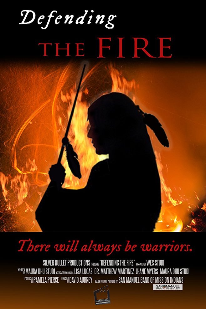 Poster of the movie Defending the Fire