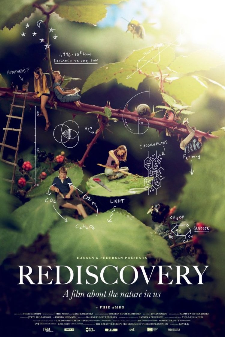 L'affiche du film Rediscovery