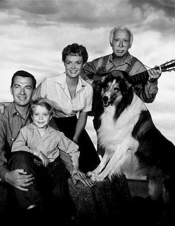 Poster of the movie Lassie
