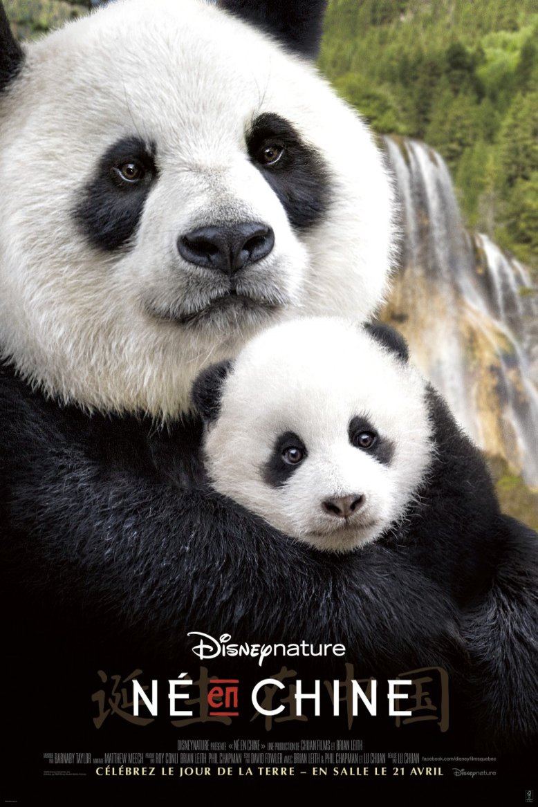 L'affiche du film Né en Chine