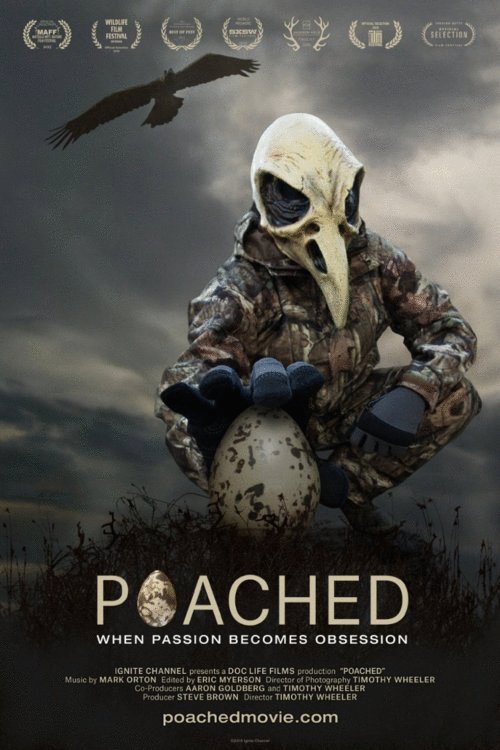 Poster of the movie Poached