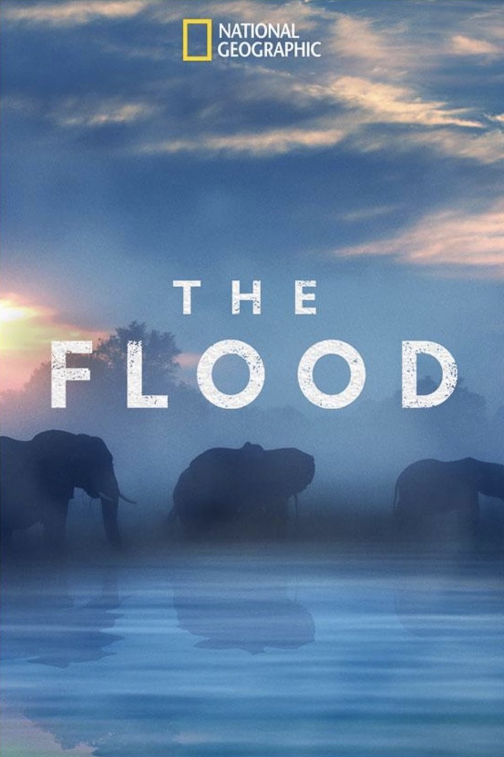 Poster of the movie The Flood