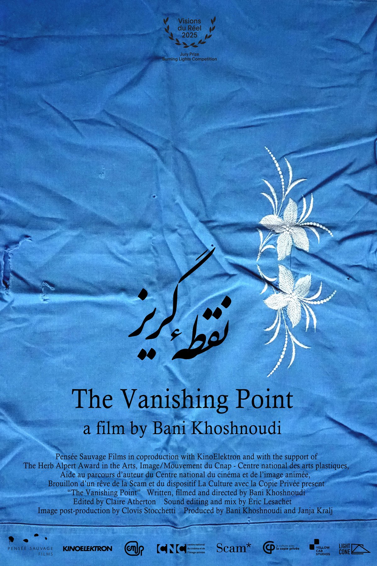 Poster of the movie The Vanishing Point [2025]