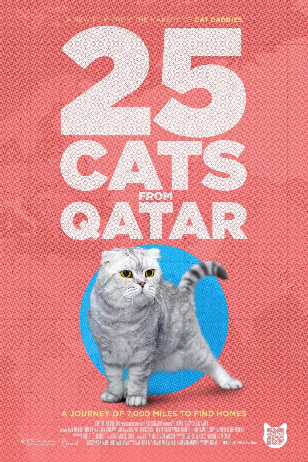 L'affiche du film 25 Cats from Qatar