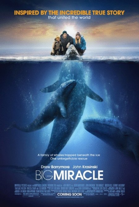 L'affiche du film Big Miracle