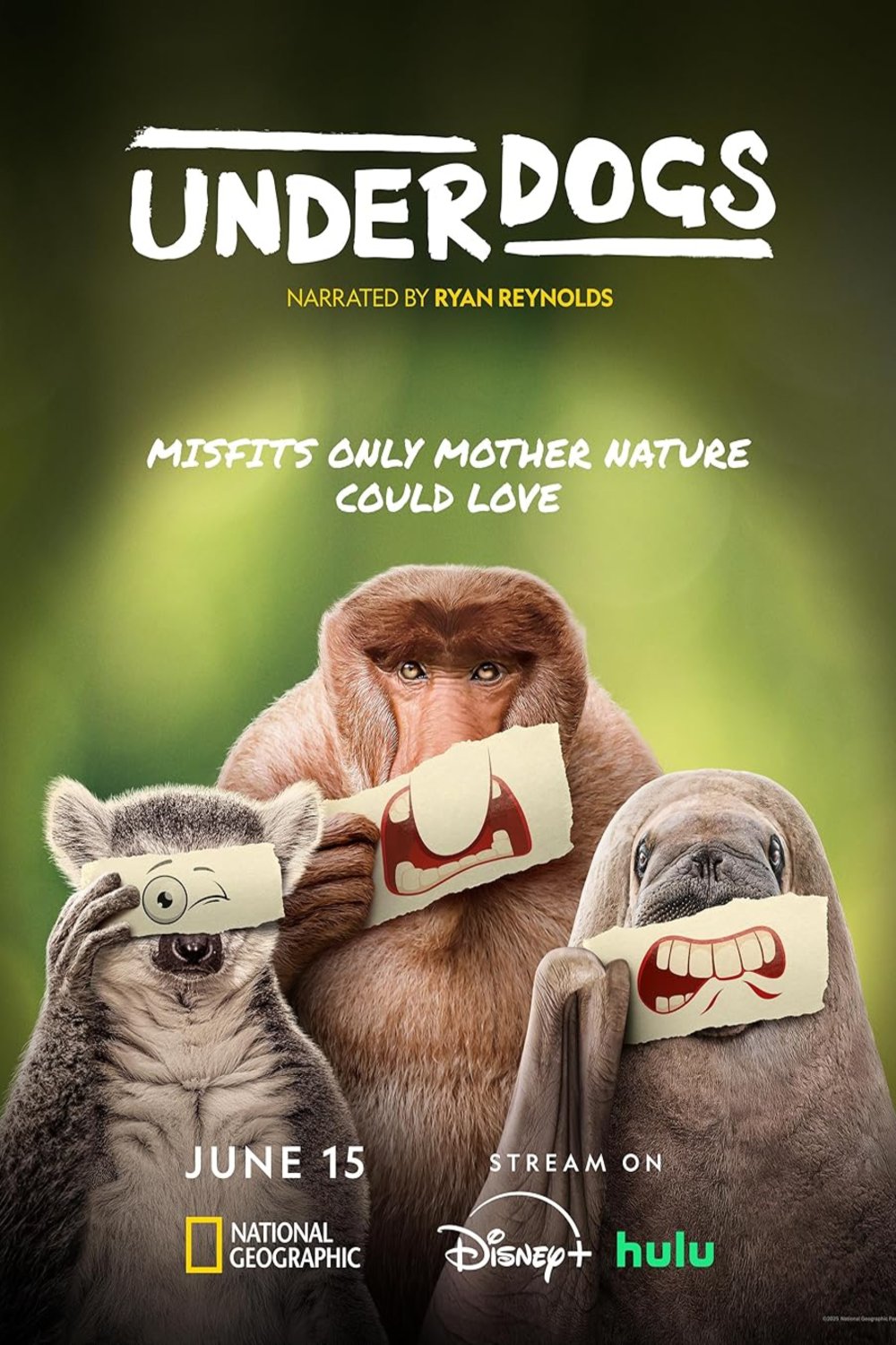 Poster of the movie Underdogs