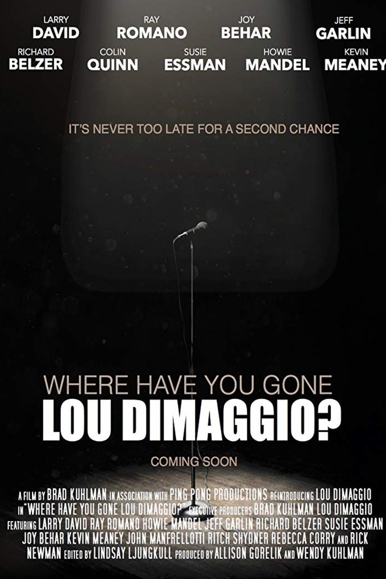 Poster of the movie Where Have You Gone, Lou DiMaggio [2017]