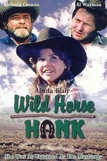 L'affiche du film Wild Horse Hank
