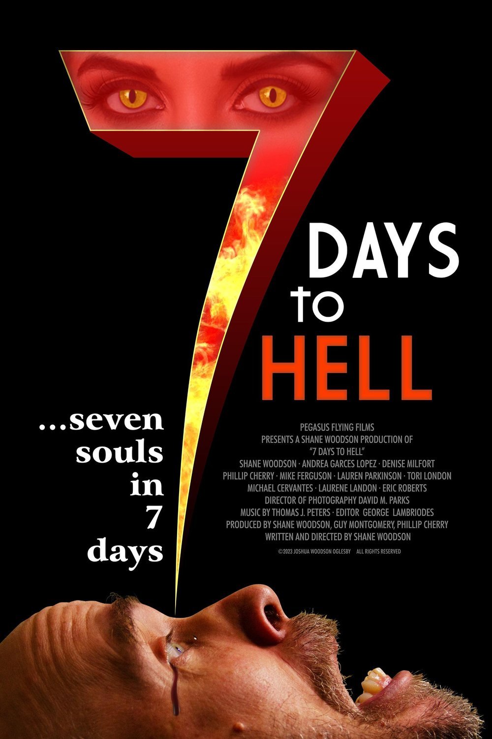 L'affiche du film 7 Days to Hell