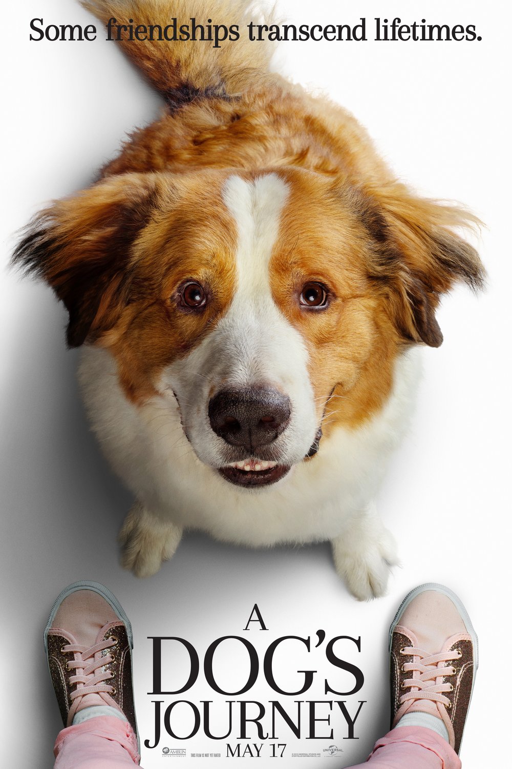 L'affiche du film A Dog's Journey
