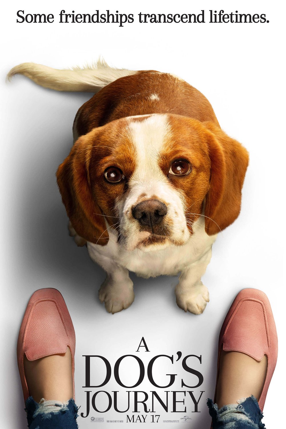L'affiche du film A Dog's Journey