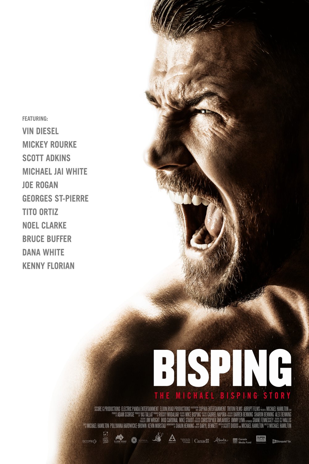L'affiche du film Bisping