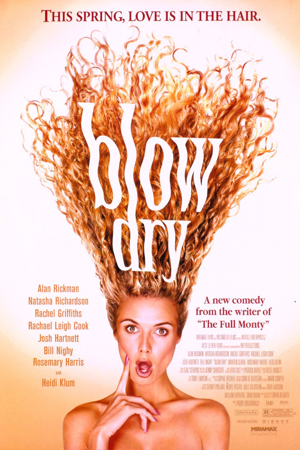 Poster of the movie Blow Dry