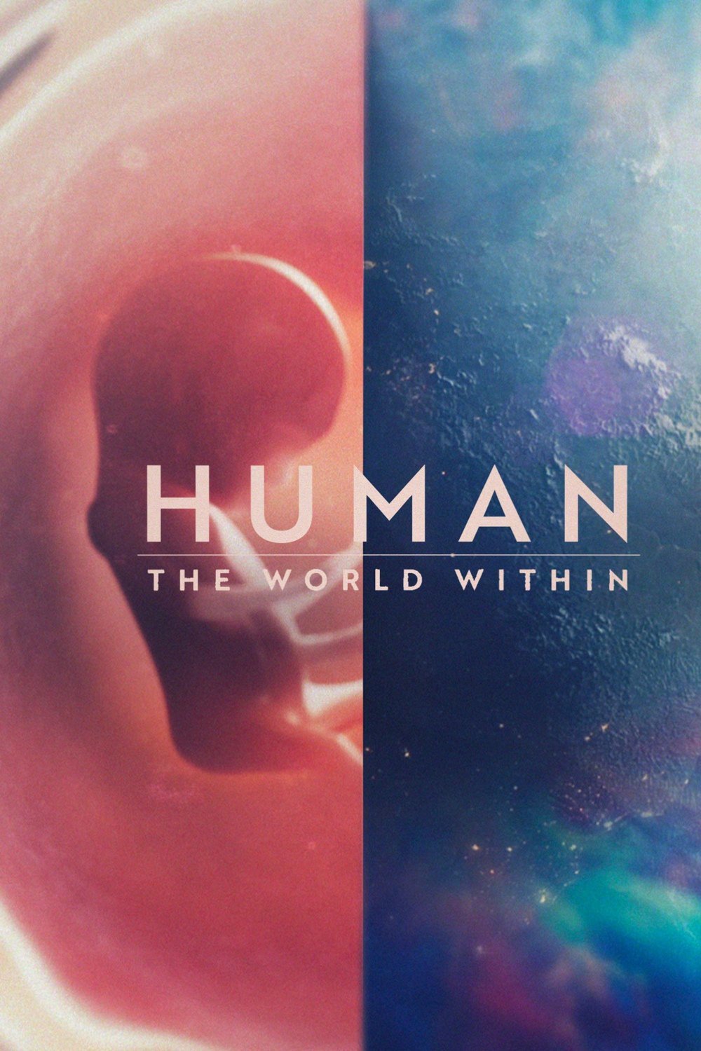L'affiche du film Human: The World Within [2021]