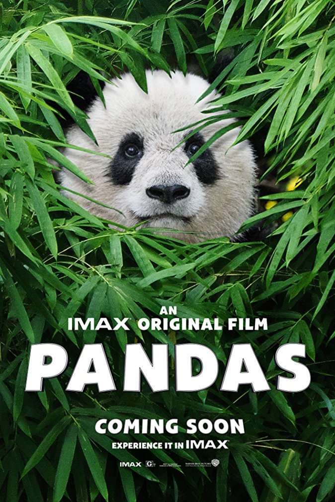 L'affiche du film Pandas