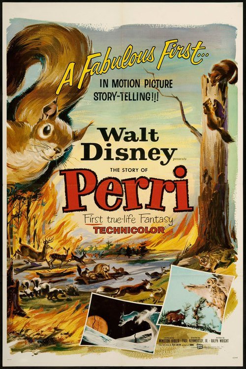 L'affiche du film Perri