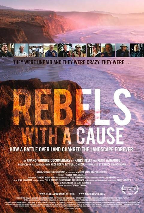 Poster of the movie Rebels with a Cause