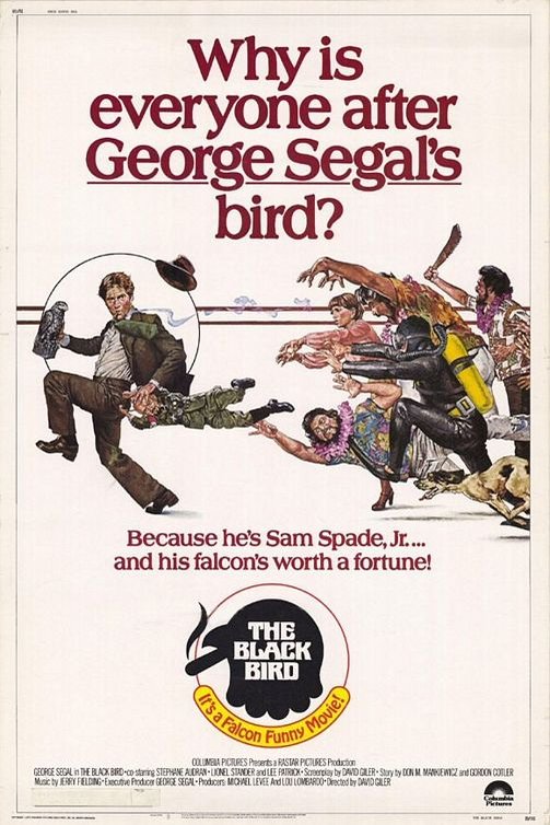Poster of the movie The Black Bird [1975]