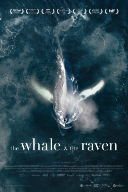 Poster of the movie La Baleine et le corbeau [2019]