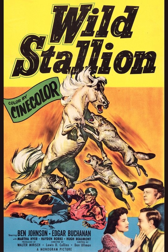 L'affiche du film Wild Stallion