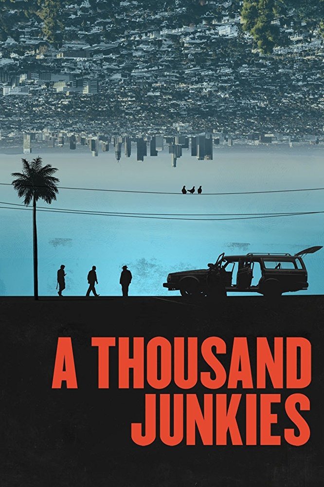 Poster of the movie A Thousand Junkies