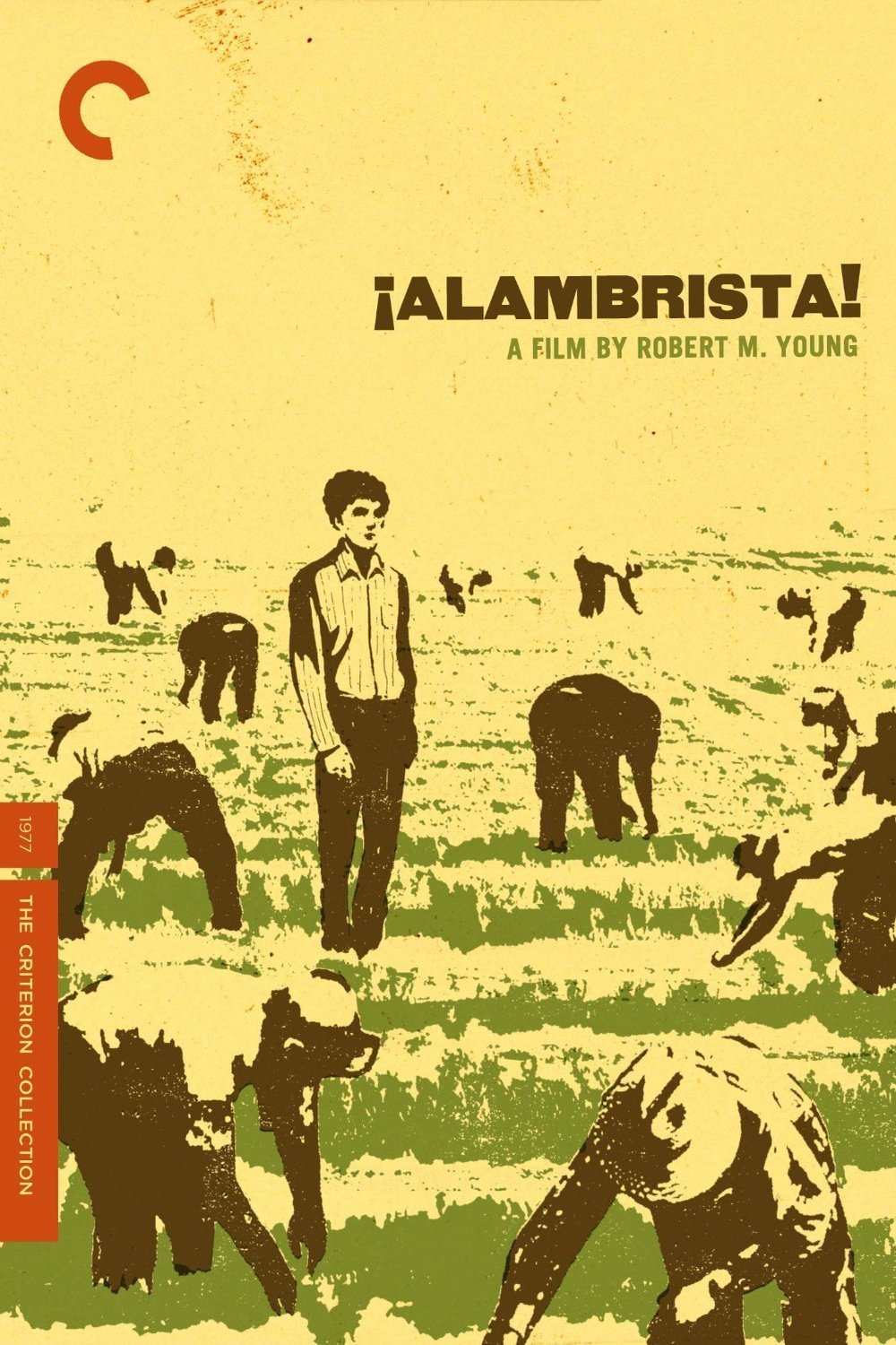 L'affiche du film Alambrista!