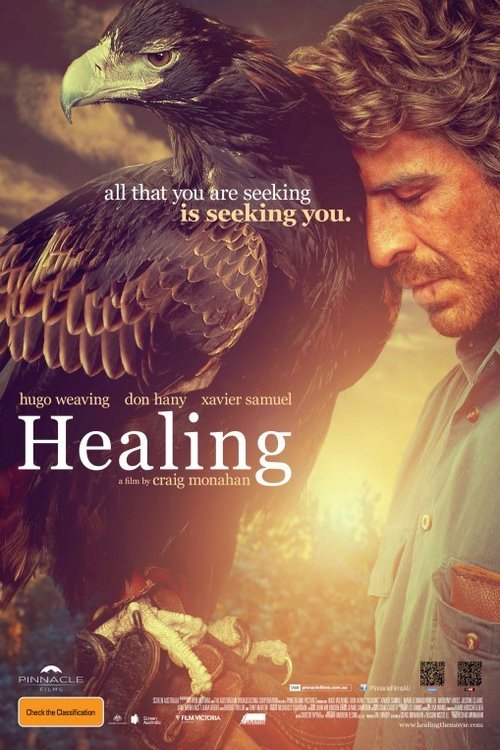 L'affiche du film Healing