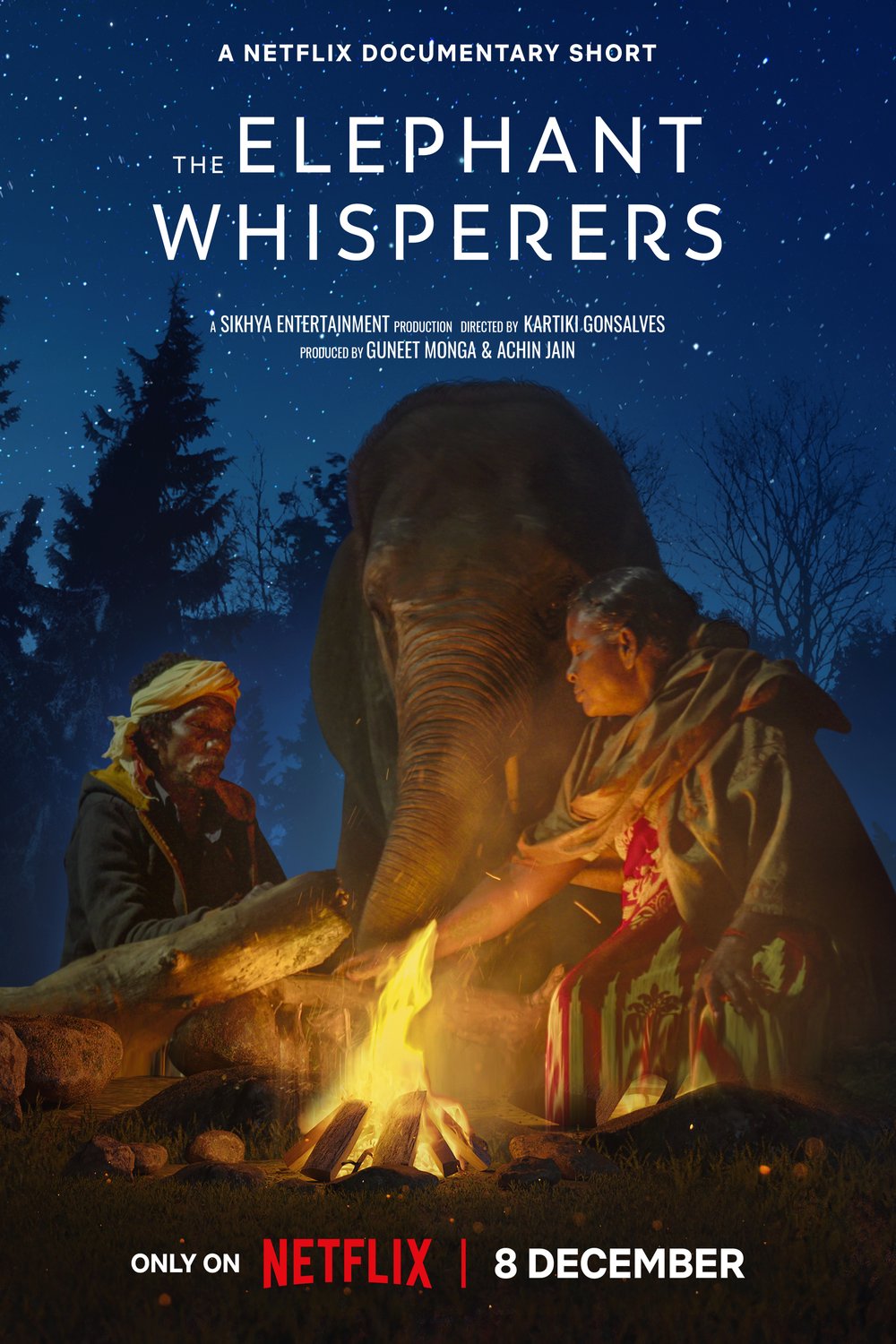 Poster of the movie The Elephant Whisperers [2022]