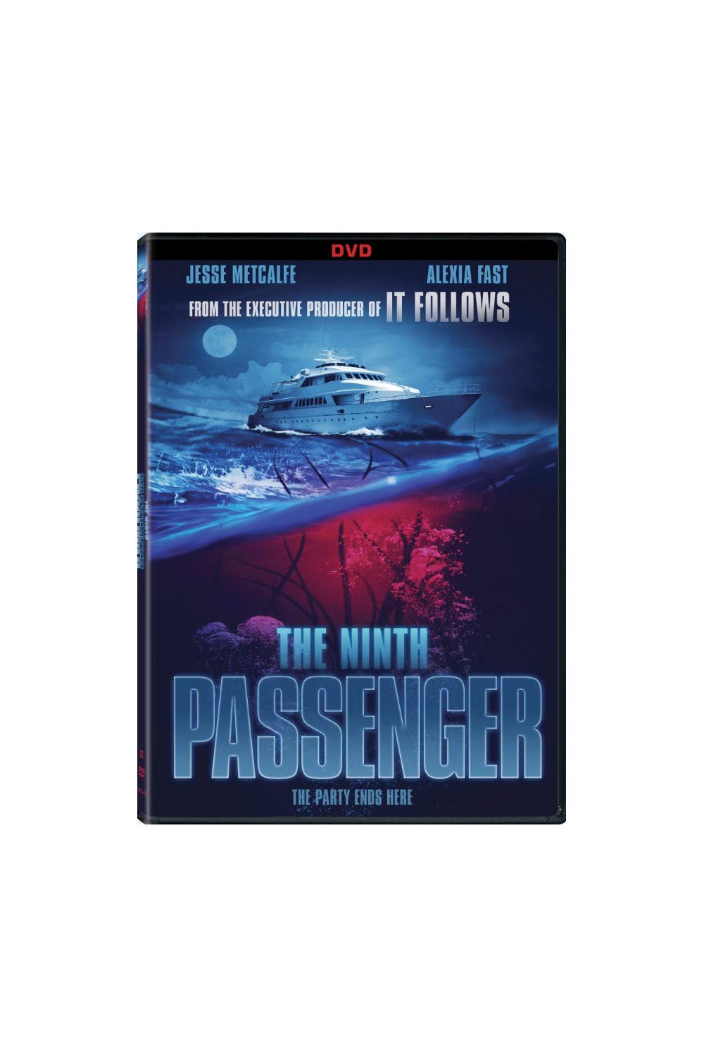 Poster of the movie The Ninth Passenger