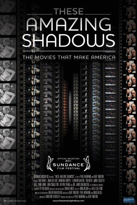 L'affiche du film These Amazing Shadows