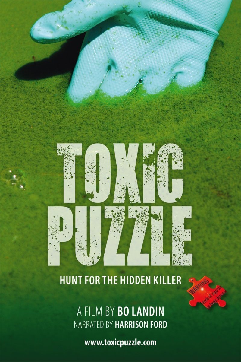 L'affiche du film Toxic Puzzle