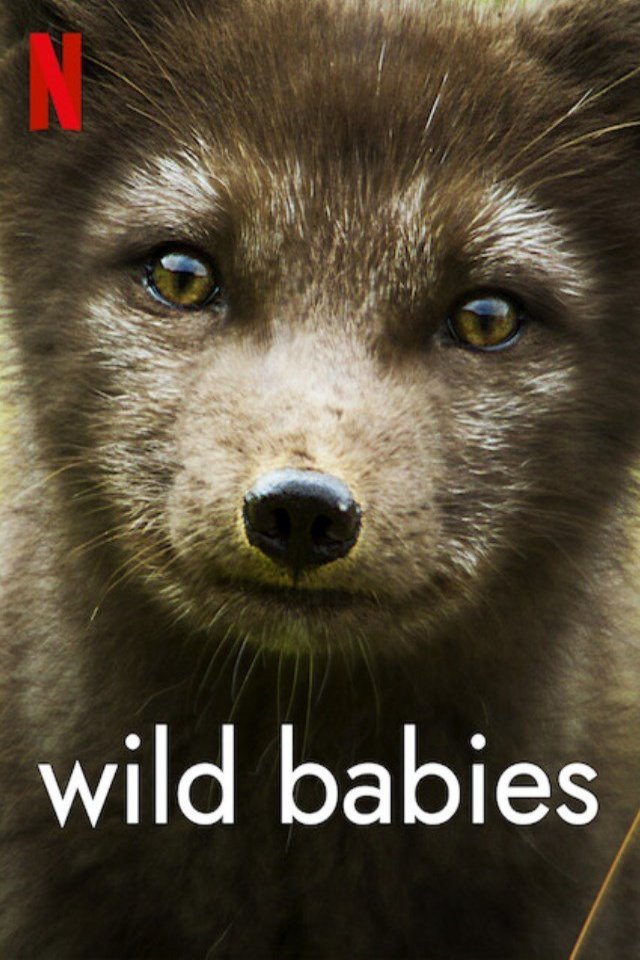 L'affiche du film Wild Babies