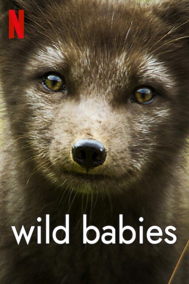 Poster of the movie Wild Babies [2022]