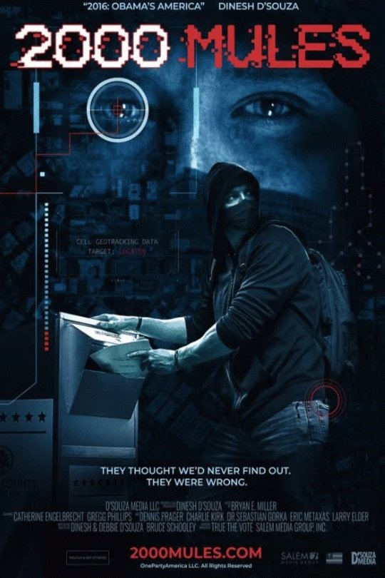 Poster of the movie 2000 Mules [2022]