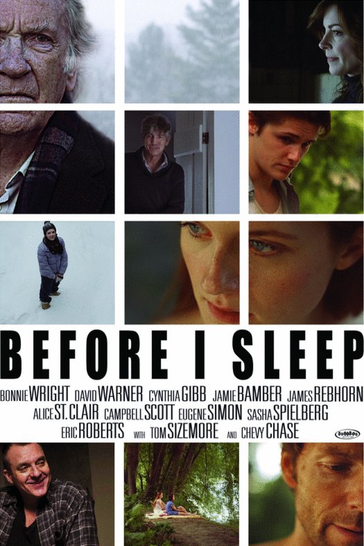 L'affiche du film Before I Sleep