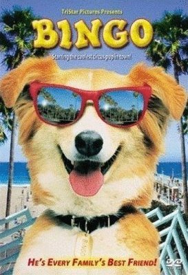 Poster of the movie Bingo
