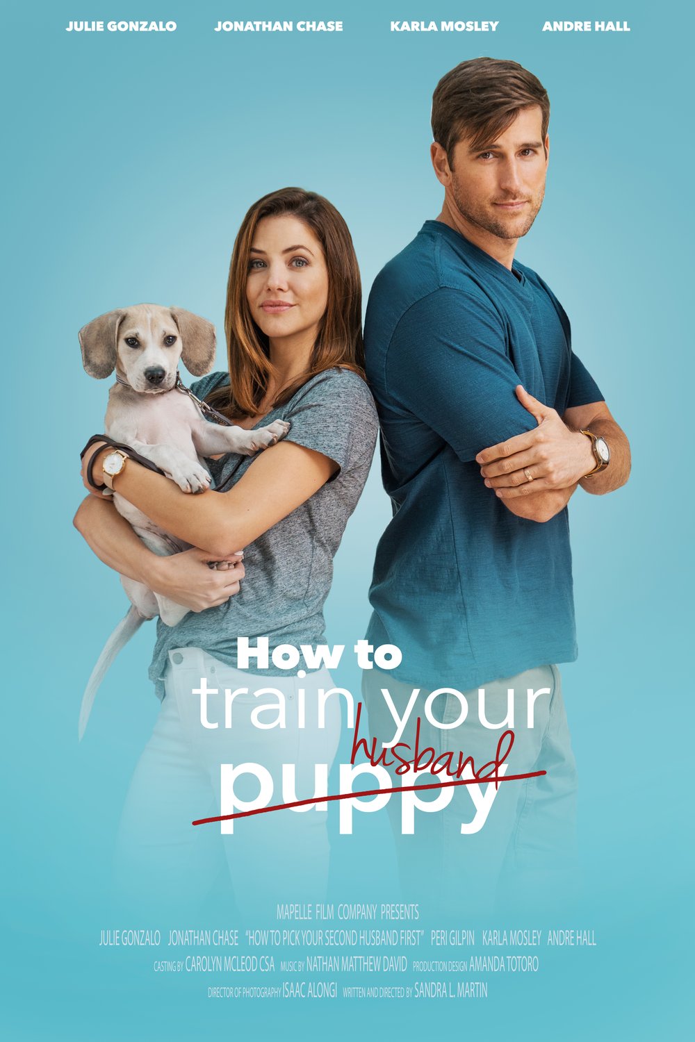Poster of the movie How to Train Your Husband