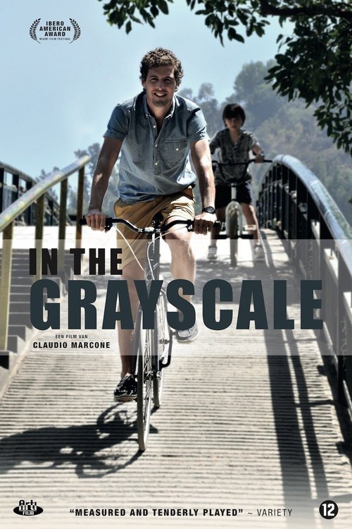 L'affiche du film In the Grayscale