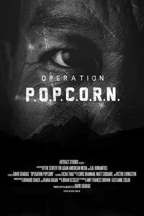 L'affiche du film Operation Popcorn