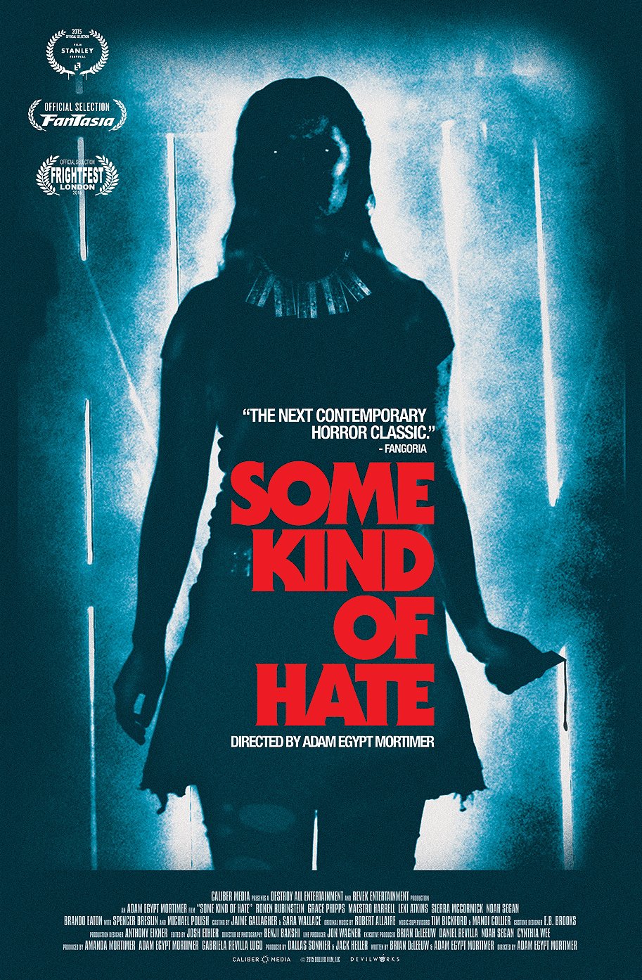 L'affiche du film Some Kind of Hate