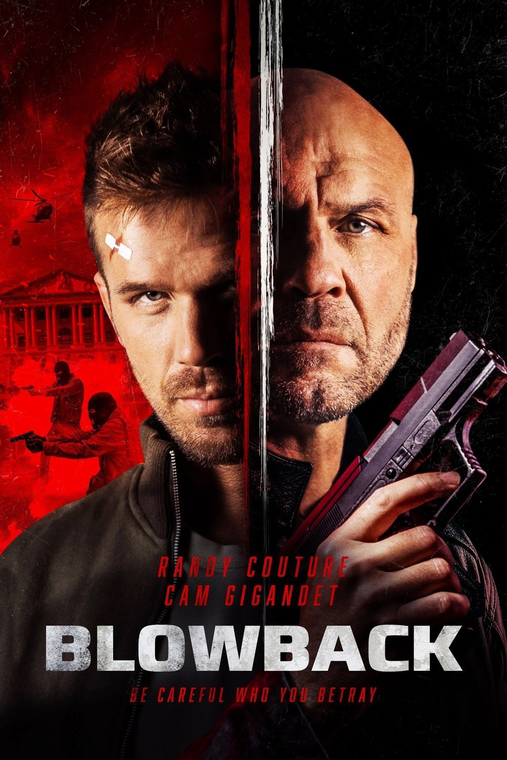 Poster of the movie Blowback