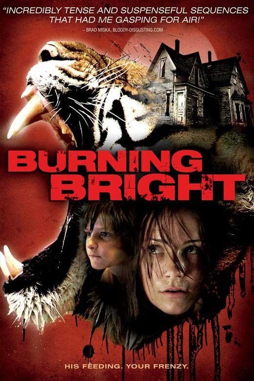 L'affiche du film Burning Bright