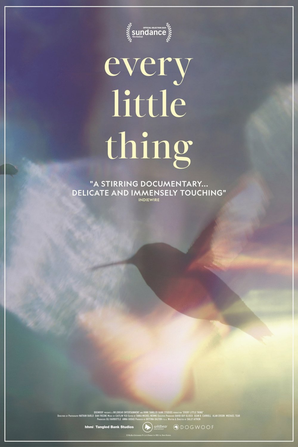 Poster of the movie Every Little Thing [2024]